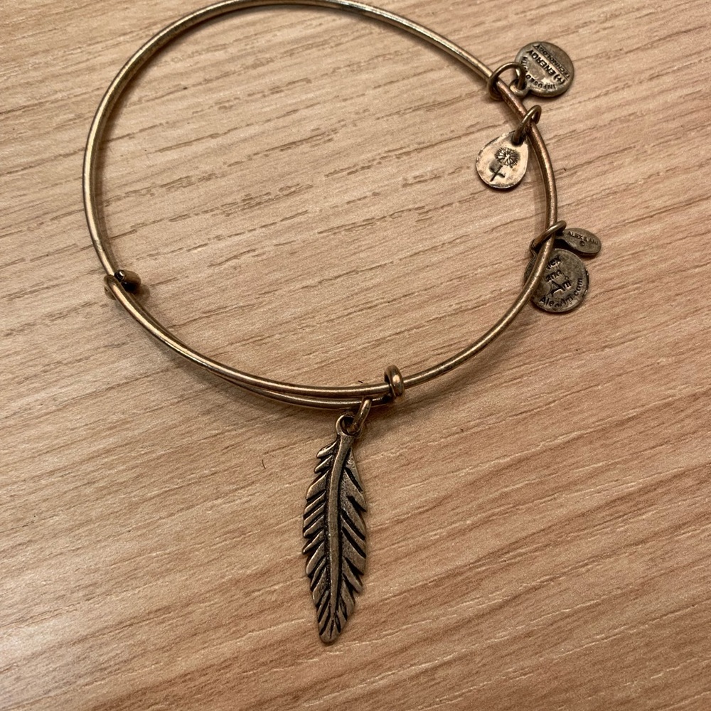 Alex and Ani- feather bracelet